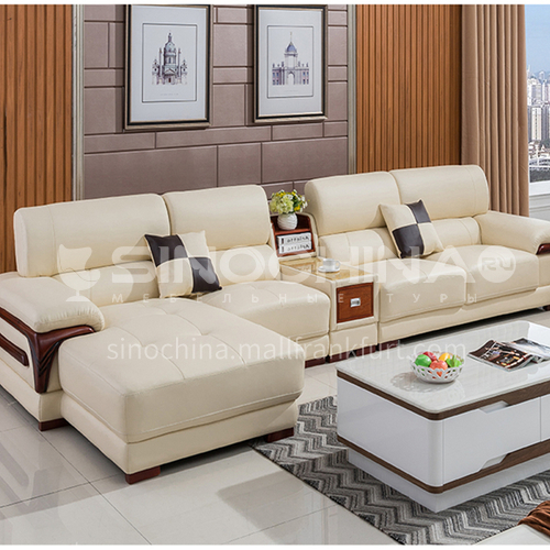 HH-A1# Living room modern simple multifunctional sofa combination + two material options